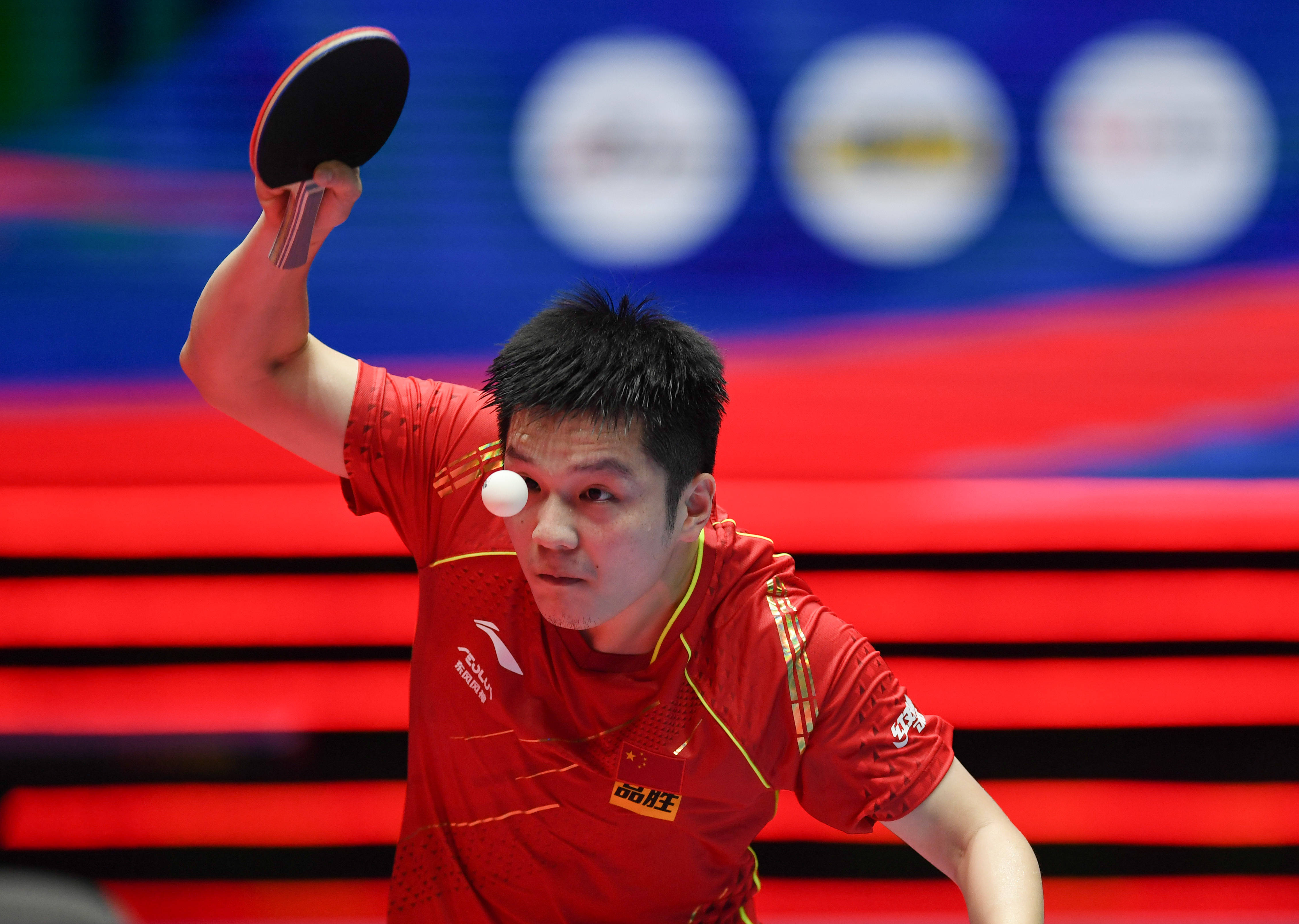 现出了顽强 现出了顽强