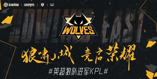 样依赖 样依赖